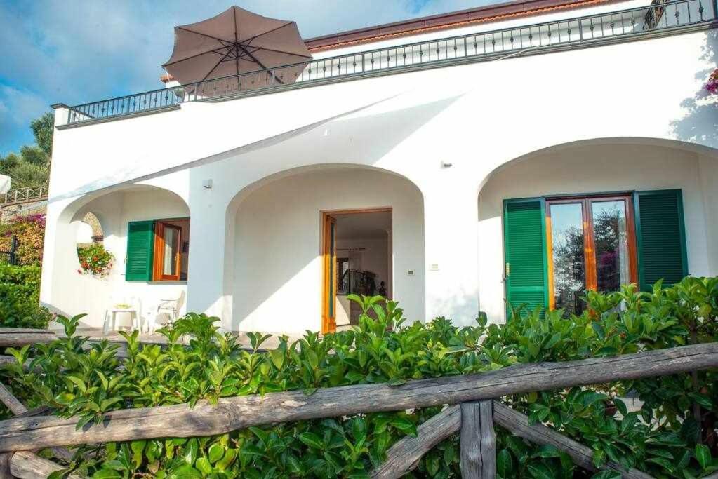 Villa Il Sogno Di Zia Ada Massa Lubrense Ngoại thất bức ảnh